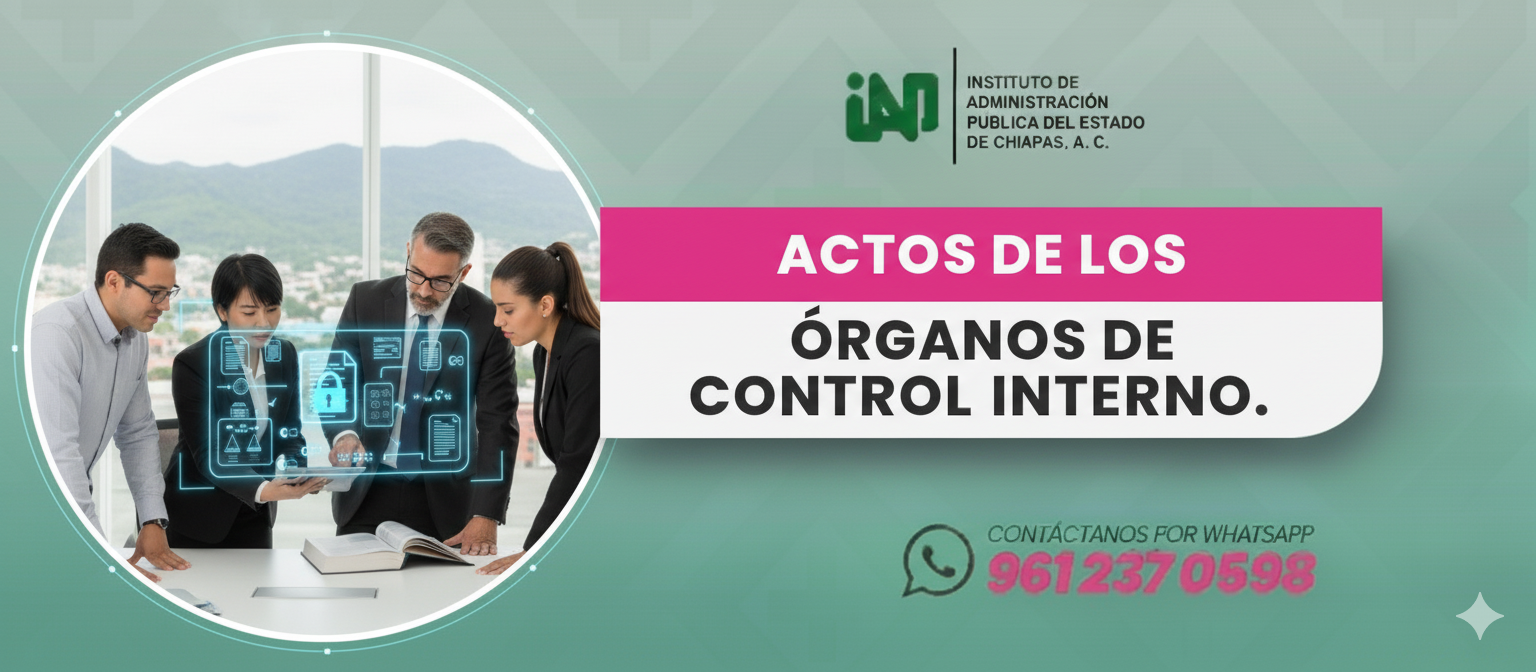 Imagen del curso Actos de los Órganos de Control Interno.