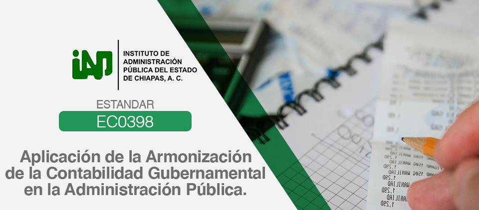 Imagen de Aplicación de la Armonización de la Contabilidad Gubernamental en la Administración Pública